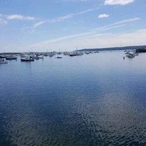 Meet your Posher, Austin